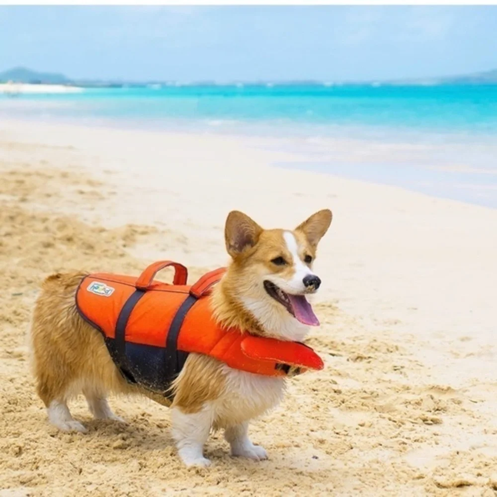 Outward Hound Grandby Splash Dog Life Jacket Sz. M 30-55‎ lbs. NWT